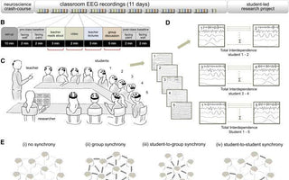 Brain-to-Brain Synchrony Tracks Real-World Dynamic Group Interactions in the Classroom - EMOTIV