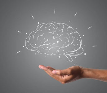 Why Is It Important to Know Your Brain? - EMOTIV