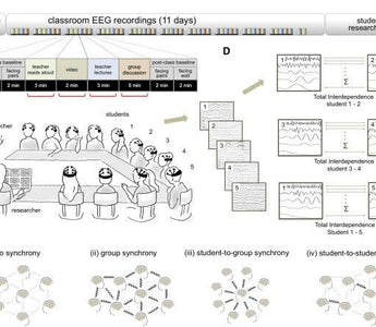 Brain-to-Brain Synchrony Tracks Real-World Dynamic Group Interactions in the Classroom - EMOTIV