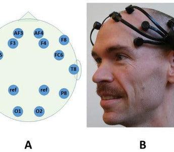 Single-Trial Cognitive Stress Classification Using Portable Wireless Electroencephalography - EMOTIV